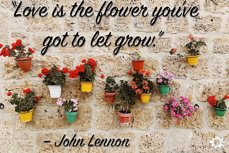 Love is the flower you've got to let grow. -John Lennon