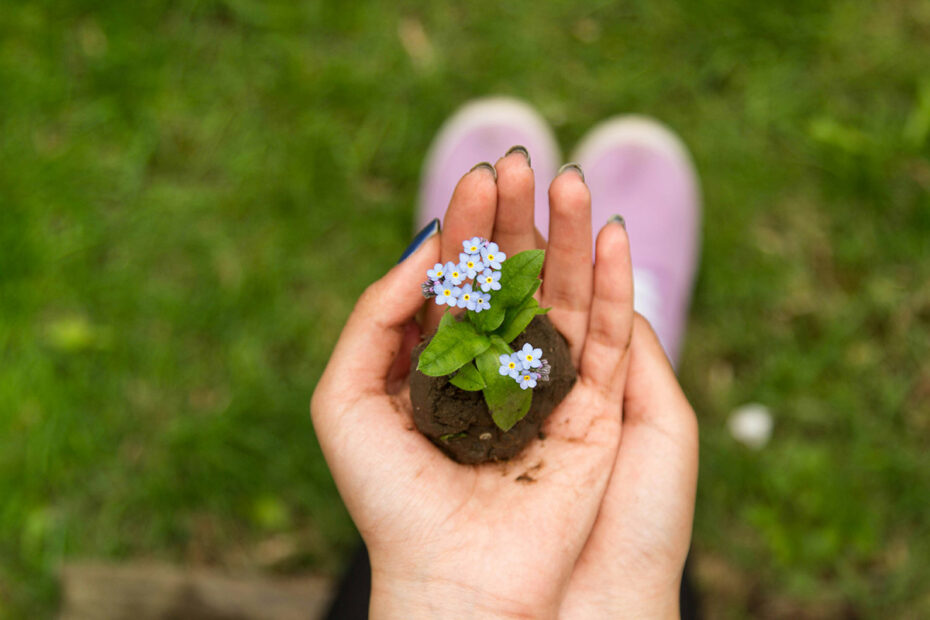 A small blue flower growing out of soil cupped in a woman's hands, representing the cultivation of happiness