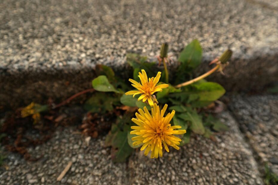 Happiness is waiting for you in the midst of your ordinary life