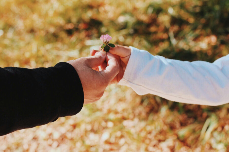 Even the most dire situations like an estranged relationship can be rebuilt piece by piece with small steps and a change of heart